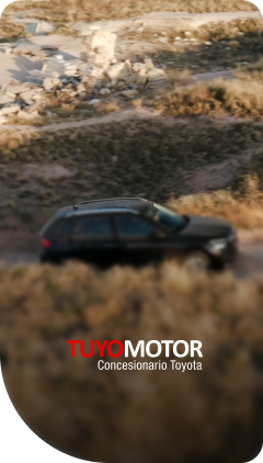 Tuyomotor Carrusel